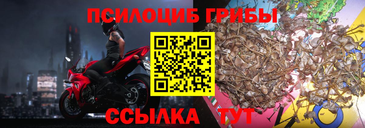 Галлюциногенные грибы мицелий  Вход с VPN  Псилоцибиновые грибы Psilocybe  Обнинск 